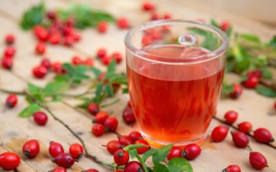 Csipkebogyó tea: természetes C-vitamin bomba, de csak helyesen elkészítve!