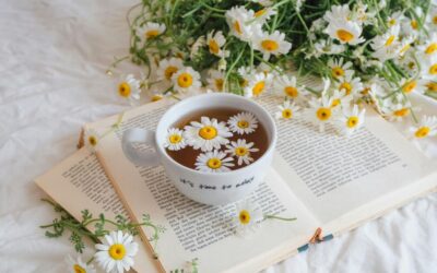 Kamillával a gyomorfekély ellen? – Az orvosi székfű szerepe a nyálkahártya regenerációjában